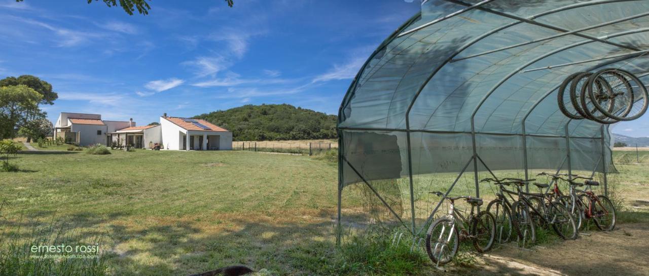 Apartament Le Caramelle Di Baratti Zewnętrze zdjęcie